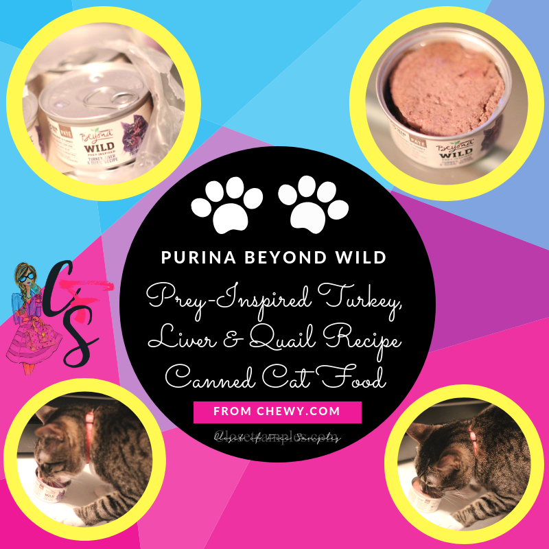 Purina Beyond Wild Prey-Inspired Turkey, Liver & Quail Recipe Canned Cat Food from Chewy.com #Review
