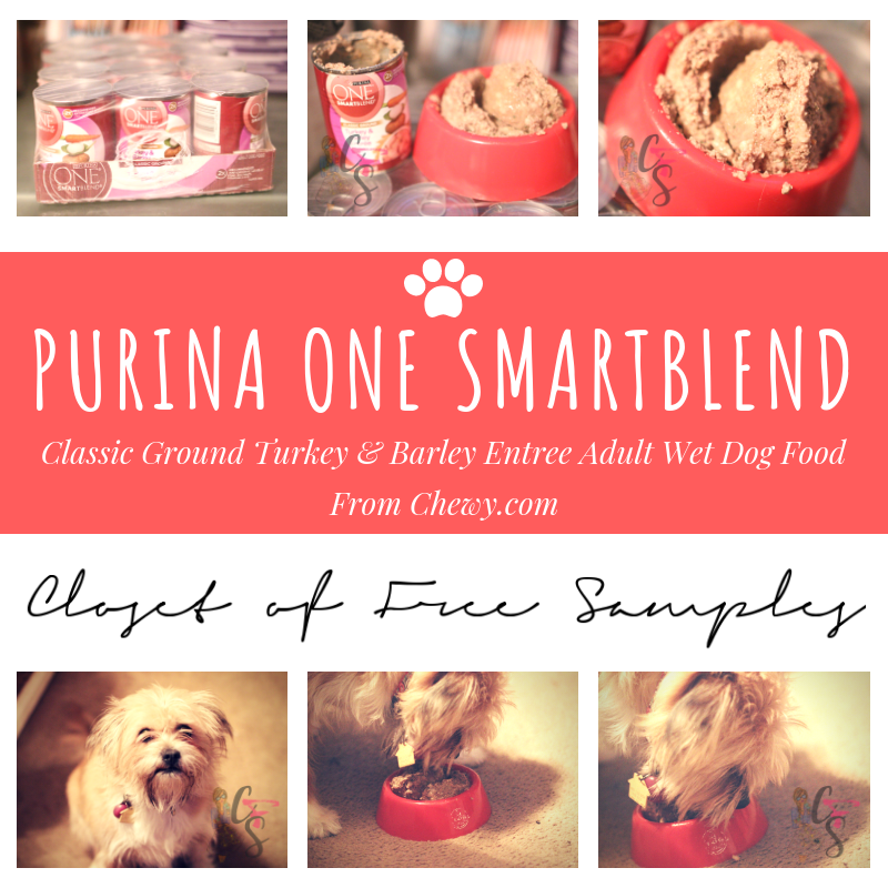 Purina ONE SmartBlend Classic Ground Turkey & Barley Entree Adult Wet Dog Food from Chewy.com #Review