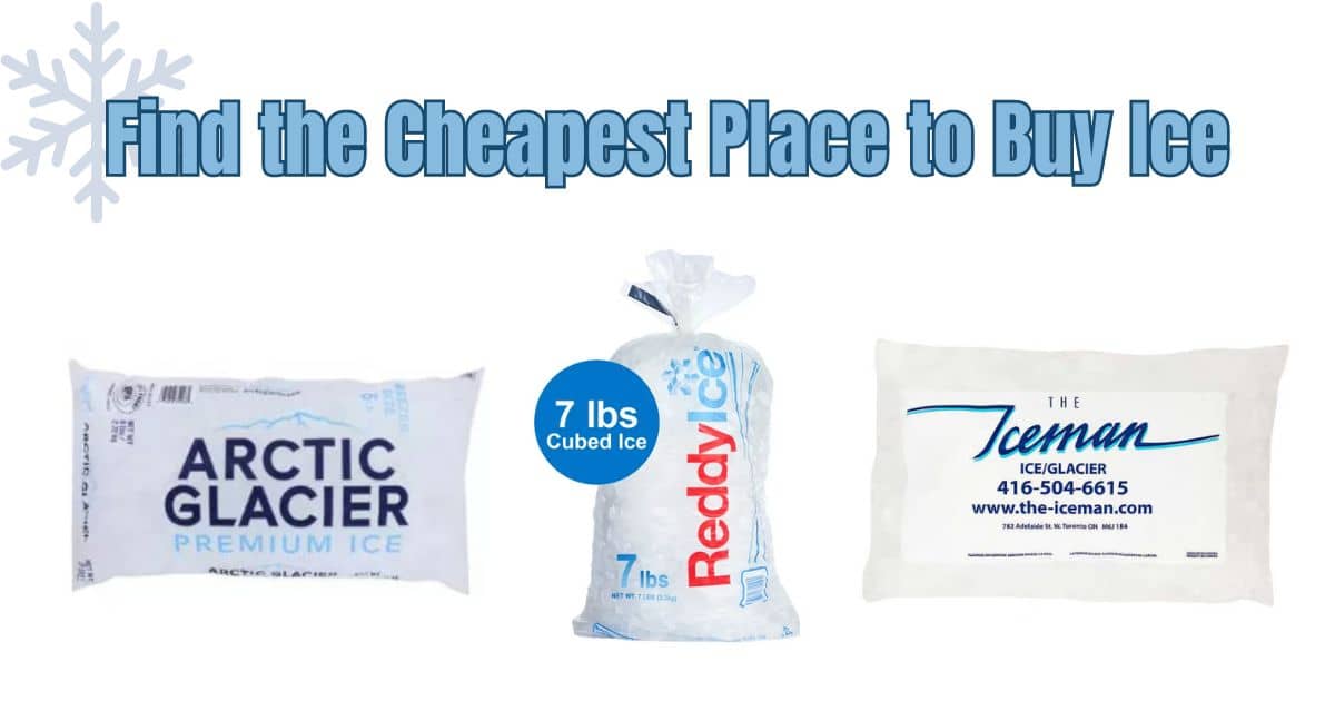 Discover the Best Deals: Where to Find the Cheapest Ice Near Me