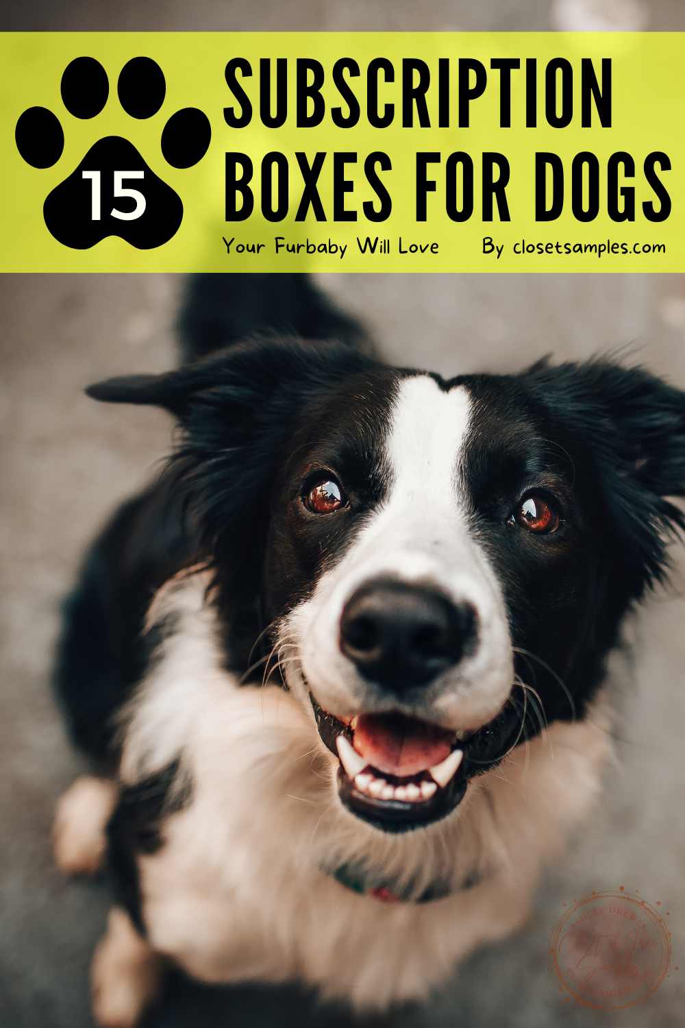 15-Subscription-Boxes-for-Dogs-Your-Furbaby-Will-Love-cratejoy-closetsamples-Pinterest.png