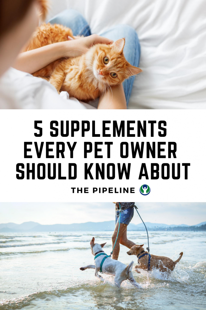 5-Supplements-Every-Pet-Owner-Should-Know-About-pipingrock-closetsamples-3.png