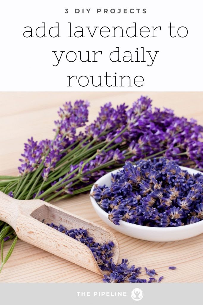 Add-Lavender-Oil-to-your-Routine-with-these-3-DIY-Projects-pipingrock-closetsamples.jpg