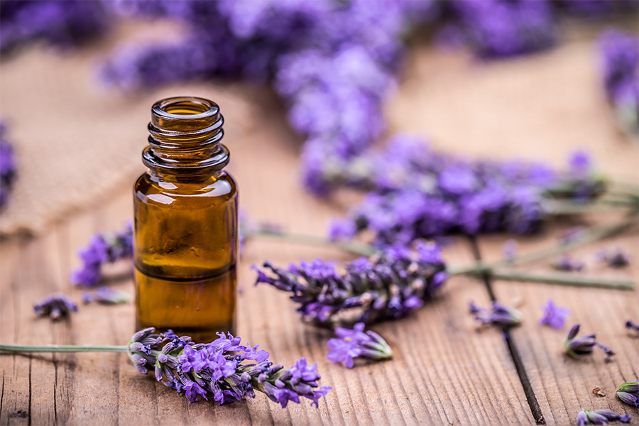 Add-Lavender-Oil-to-your-Routine-with-these-3-DIY-Projects-pipingrock-closetsamples.png