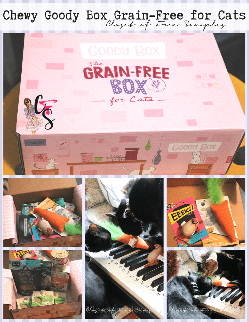 Goody Box Grain-Free for Cats.