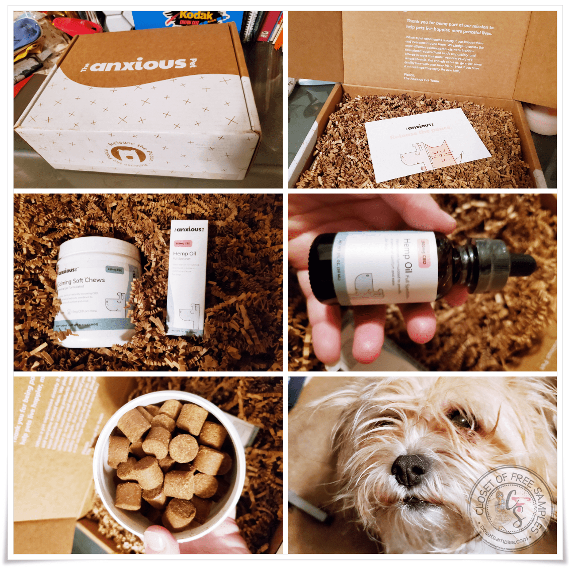 The Anxious Pet Calming Kit for Dogs Review