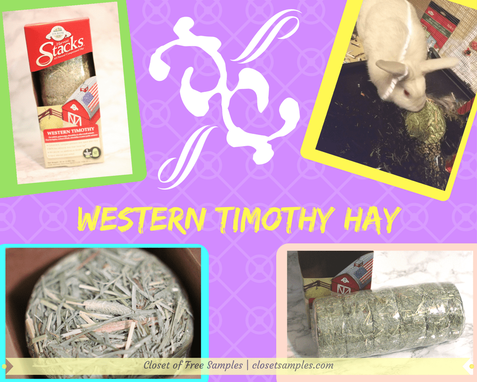 Western Timothy Hay.png