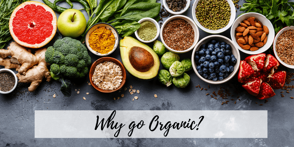 Why-go-Organic-PipingRock-March2019.png