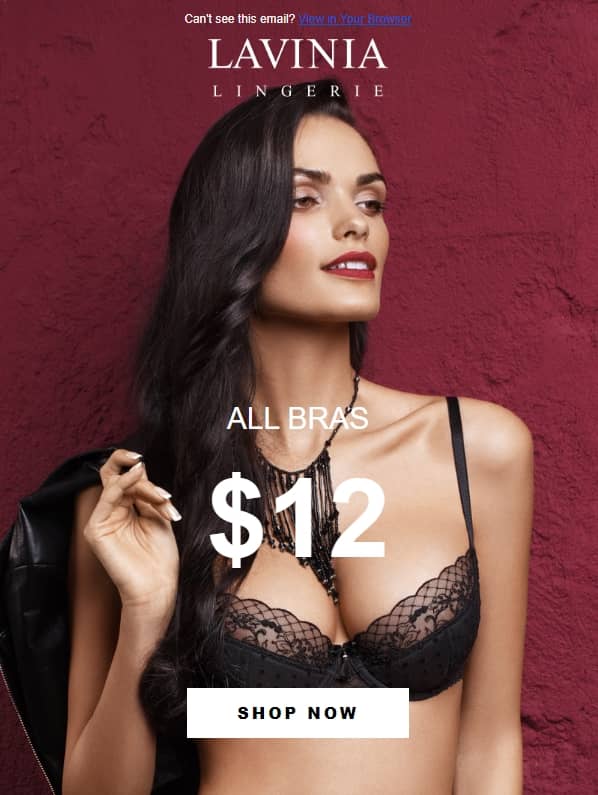All Bras on Sale for Just 12 at Lavinia Lingerie closetsamples