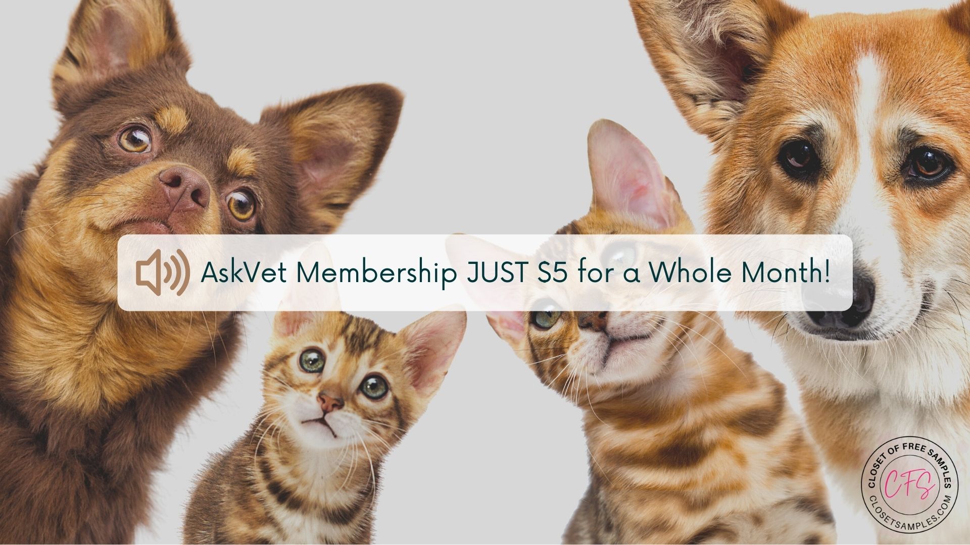AskVet Membership JUST $5 for.