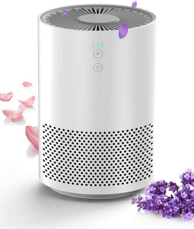 Large Room HEPA 13 Air Purifier With Aromatherapy closetsamples