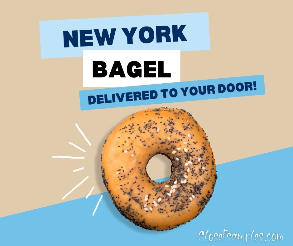 Bagel Kings Fresh New York Style Hand Rolled Bagels Delivered Right To Your Door closetsamples
