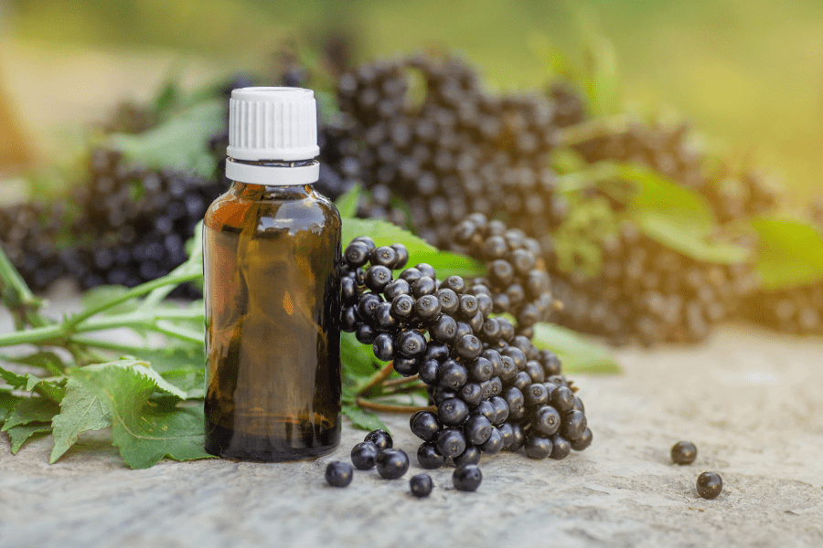 Choosing Your Elderberry Supplement