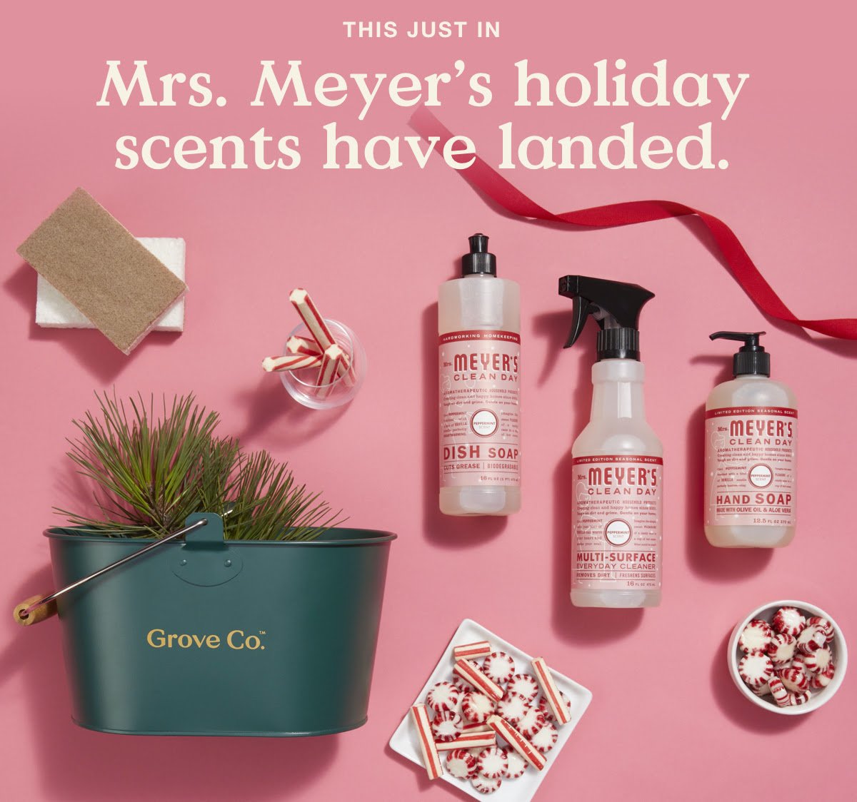 FREE Winter Gift Set from Grove Collaborative for NEW Accounts Closetsamples 2