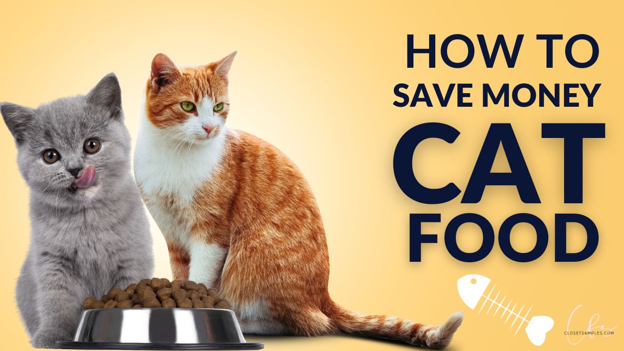 How to Save Money on Cat Food closetsamples