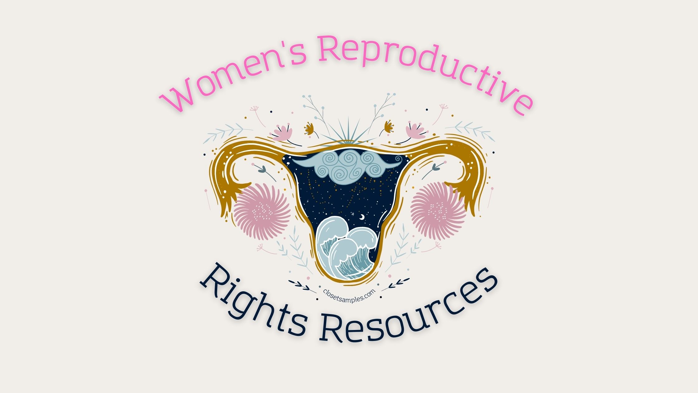 Womens Reproductive Rights Resources Closetsamples