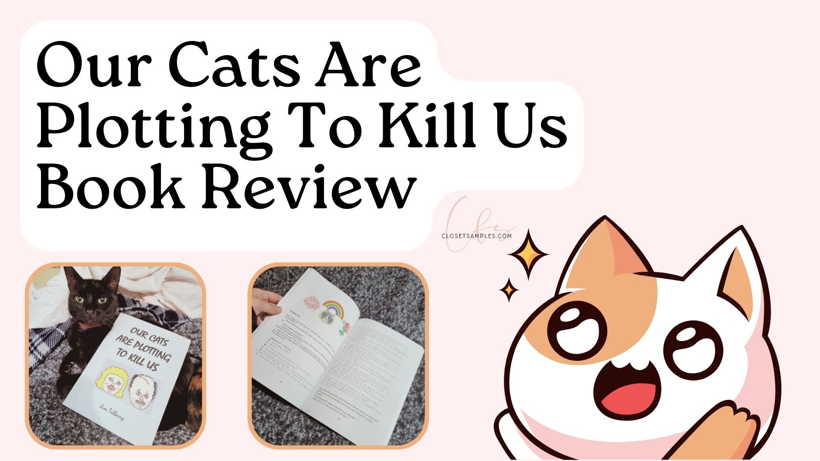 Our Cats Are Plotting To Kill Us Book Review