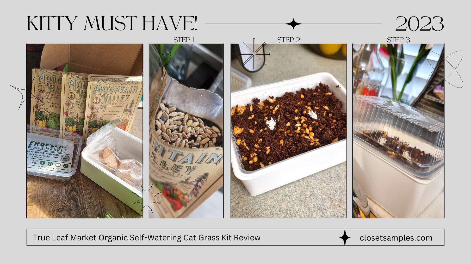 True Leaf Market Organic Self Watering Cat Grass Kit Review closetsamples 1
