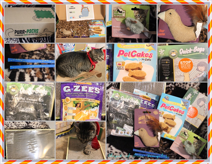Purr Packs - Subscription Boxes for Cats #Review