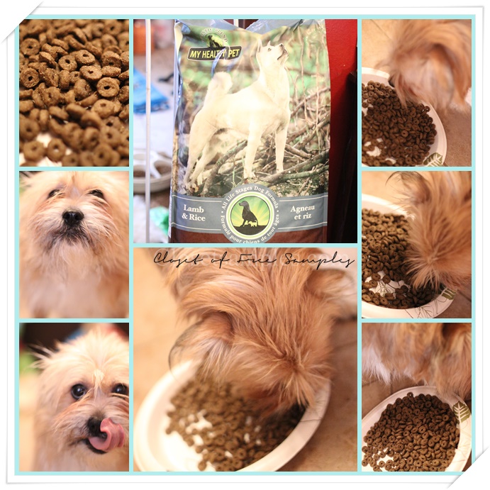 Holistic Blend Lamb & Rice All Life Stages Dry Dog Food on Chewy.com #Review