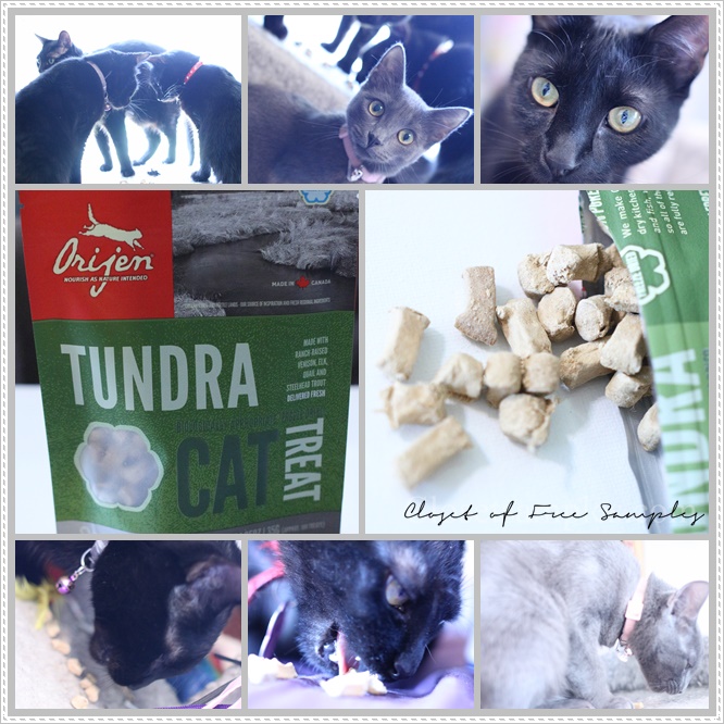 Orijen Tundra Freeze-Dried Cat...