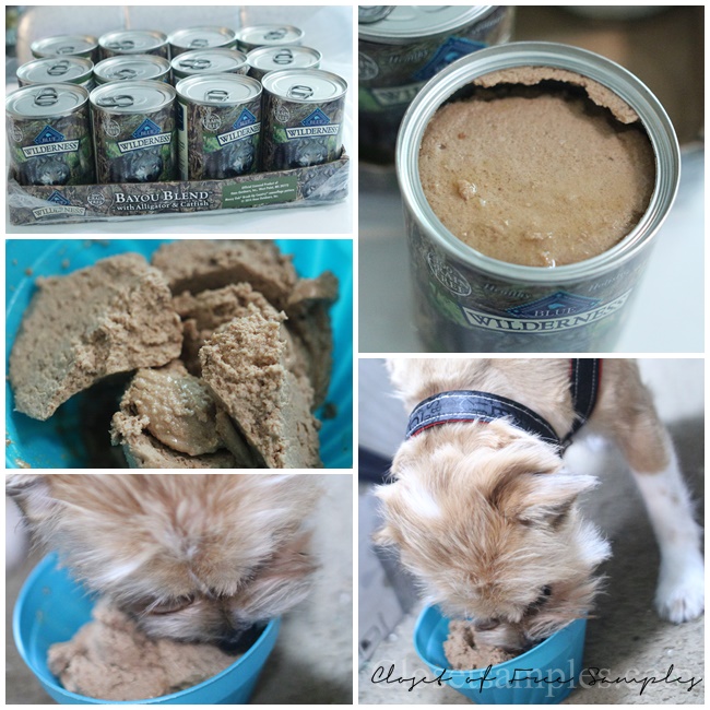 Blue Buffalo Wilderness Bayou Blend with Alligator & Catfish Grain-Free Canned Dog Food #Review