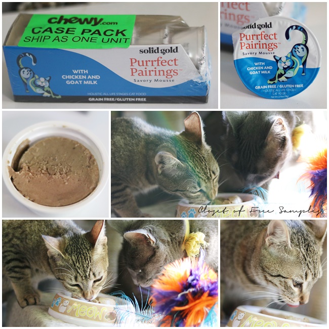 Solid Gold Purrfect Pairings Savory Mousse with Chicken & Goat Milk Grain-Free Cat Food Cups at Chewy.com #Review