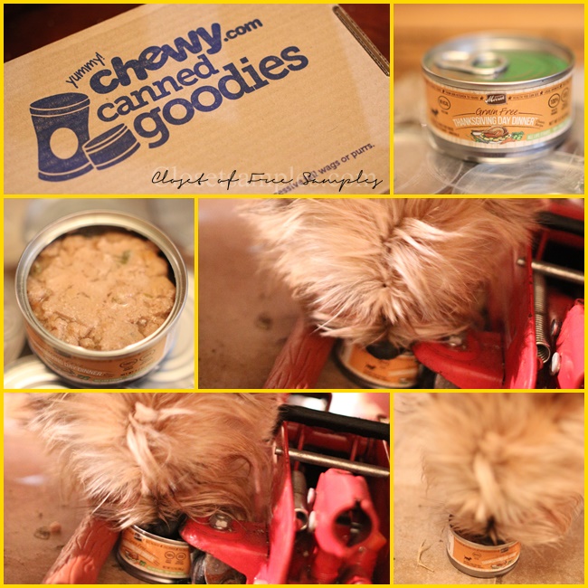Merrick Lil` Plates Grain-Free Tiny Thanksgiving Day Dinner from Chewy.com #Review