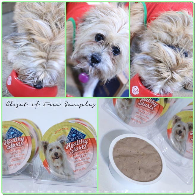 Blue Buffalo Healthy Starts Southwest Skillet with Beef & Egg Grain-Free Wet Dog Food at Chewy.com #Review